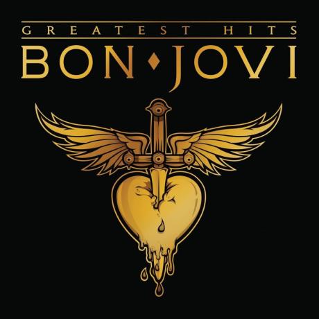 bon jovi - greatest hits 2LP.jpg