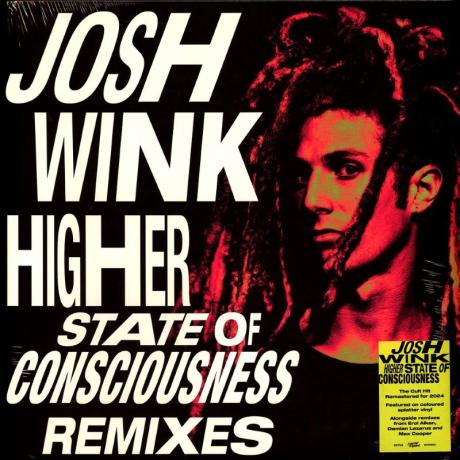 josh wink - higher state of consciousness LP.jpg