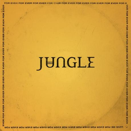 jungle - for ever LP.jpg