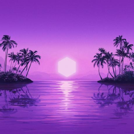 purple disco machine - paradise 2LP.jpg