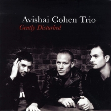 AVISHAI COHEN TRIO - Gently Disturbed LP